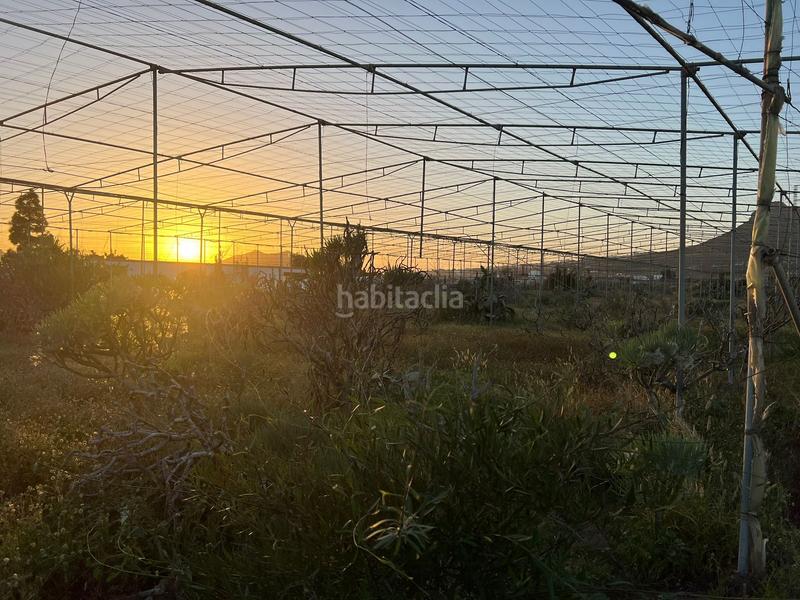 Foto 9ba2e6da-467c-4028-9598-dea8d9ddeb4b. Finca rústica a camino cardon alto 6 a Buzanada Arona