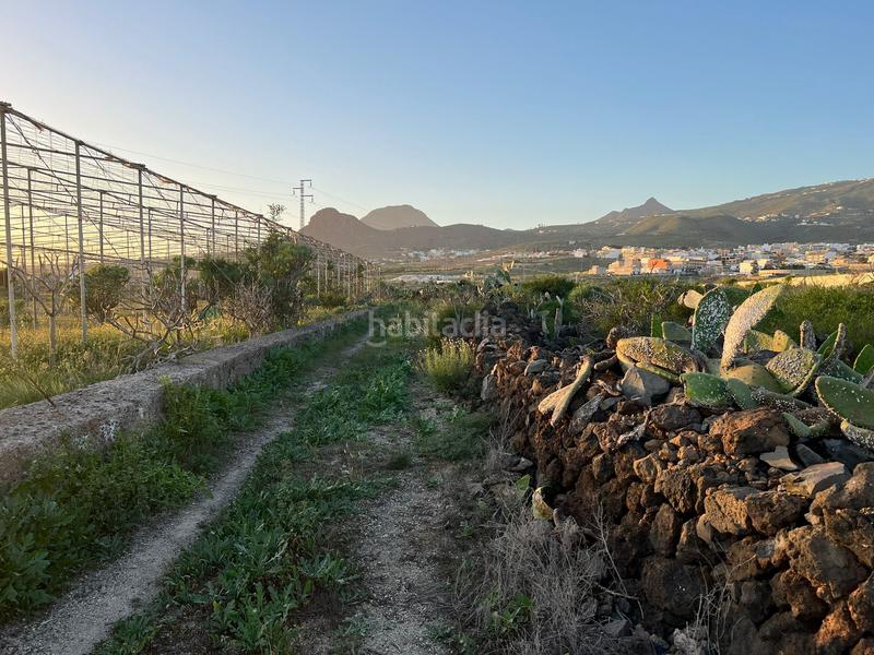 Foto a0498504-bcc1-4c2a-92c6-7e33a0119a3b. Finca rústica a camino cardon alto 6 a Buzanada Arona