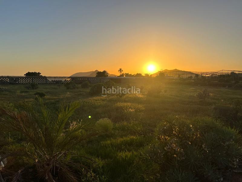 Foto c0a8c479-f185-4749-8f04-fcd0f2bb1602. Finca rústica a camino cardon alto 6 a Buzanada Arona