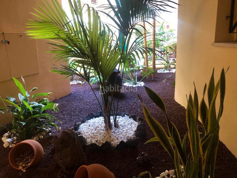 Foto 77cf6287-081b-46e7-aef6-ae2bdd53b0fc. Appartamento con piscina in Los Cristianos Arona