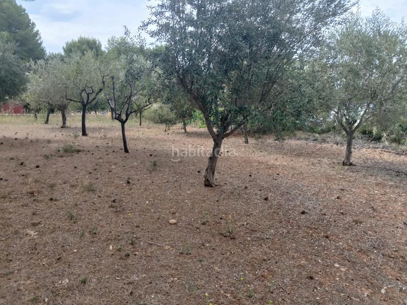 Foto 3d330687-5c17-4135-ad70-4e3913ea588c. Casale con camino in Doctor Palos - Alto Palancia Sagunt