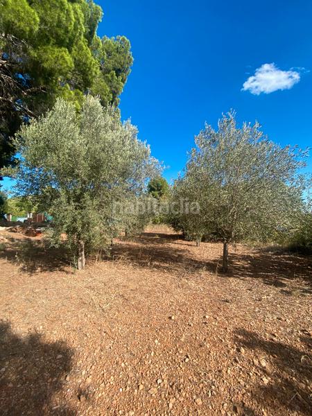 Foto f4015d90-81d3-4fce-8304-14fb3b7b99e2. Casale con camino in Doctor Palos - Alto Palancia Sagunt