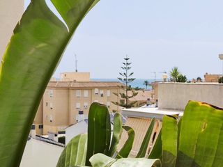 Apartament  Carrer josé segrelles