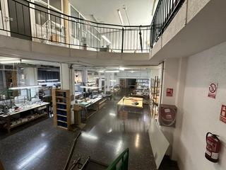 Local Comercial en Singuerln. Local en singuerlin