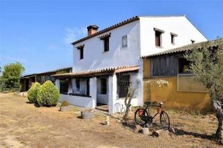 Terreny residencial a Mas Mora-Sant Daniel. Hipica en venta