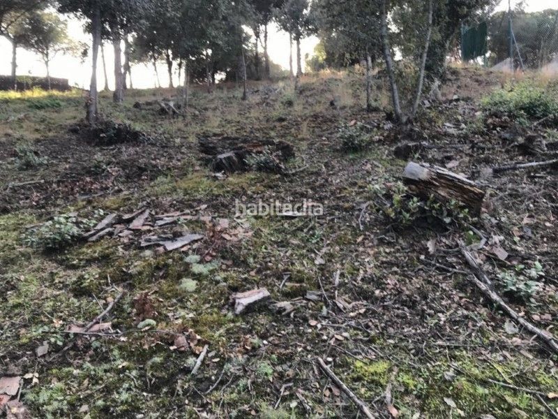 Foto a0ab3f52-3f85-4681-898d-7c8a8280b678. Terreny residencial a Canet de Mar