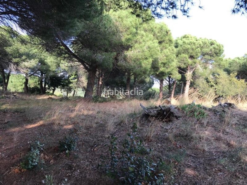 Foto cb1cb192-a343-41aa-b204-dc9226128dd5. Terreny residencial a Canet de Mar