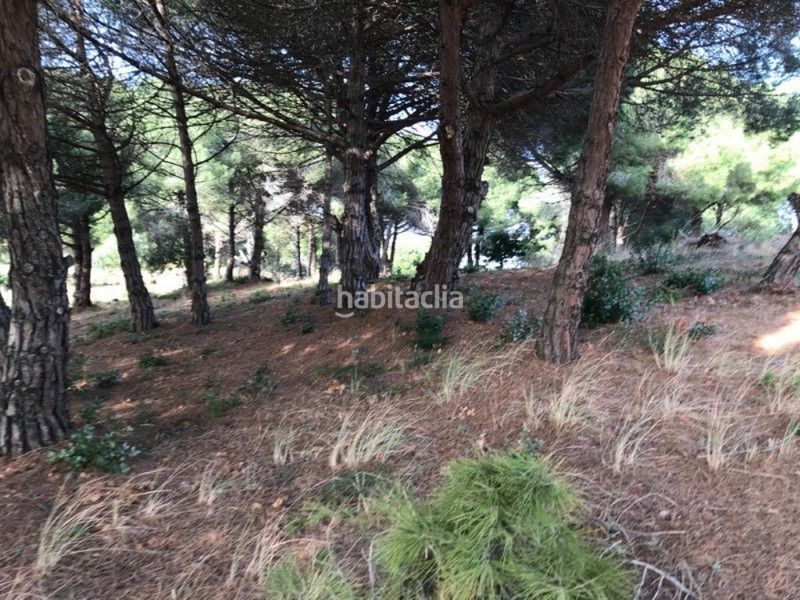 Foto f7636373-998f-4deb-8fd7-c228ffea4b3c. Terreny residencial a Canet de Mar