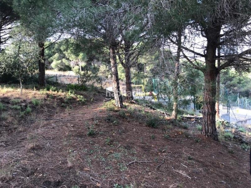 Foto fa7cdabf-0d86-4332-9812-a332ec9e64c5. Terreny residencial a Canet de Mar