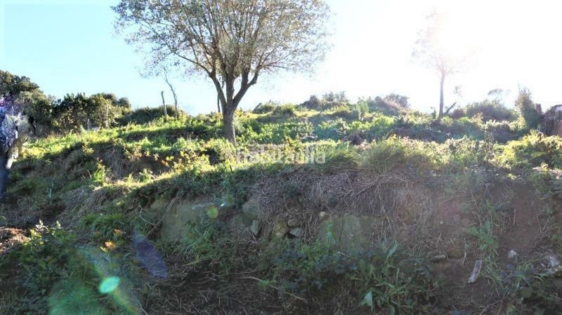 Foto 0879d649-e3a5-4229-af37-3b9ea412bd4a. Finca rústica a Reixac - Vallensana Baixa Montcada i Reixac