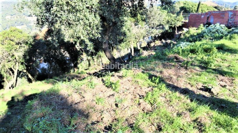 Foto ef22464e-067a-44e2-9639-16d7d0eeddeb. Finca rústica a Reixac - Vallensana Baixa Montcada i Reixac