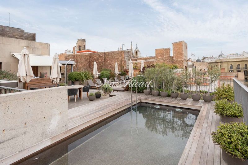 Foto f17c880b-2ef6-4169-a702-0484ffc8bd51. Lloguer dúplex amb calefacció piscina a Gòtic Barcelona