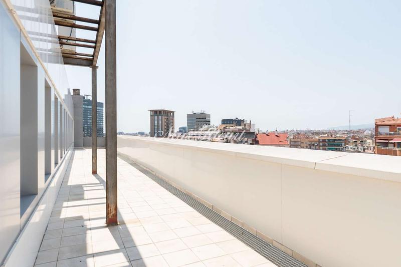 Foto 8b813074-f520-499d-b017-9a6190f17714. Alquiler oficina  con gran terraza y vistas únicas en francesc maciá en Barcelona
