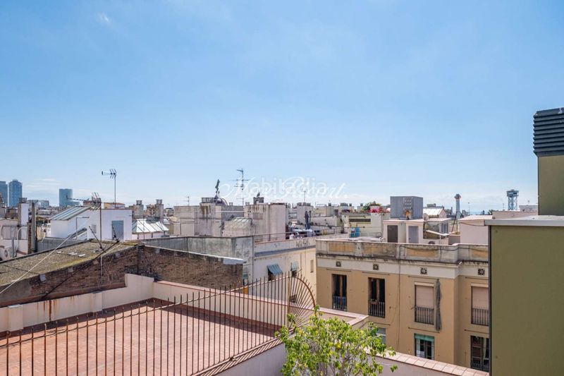 Foto c18ed3b7-948f-4ab1-a54f-9b67a81e25d4. Àtic a Gòtic Barcelona