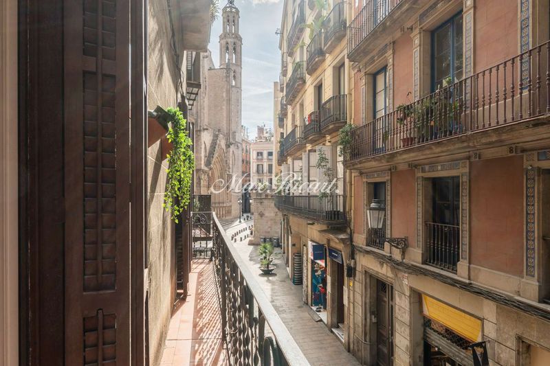 Foto 98a12f09-97f8-426c-9cc5-0c66d27ebb2c. Pis a St. Pere - Sta. Caterina - El Born Barcelona
