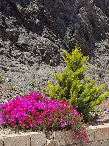 Foto 047bafbf-46fb-406e-a9e4-e5365c329a33. Maison dans Villaricos Cuevas del Almanzora