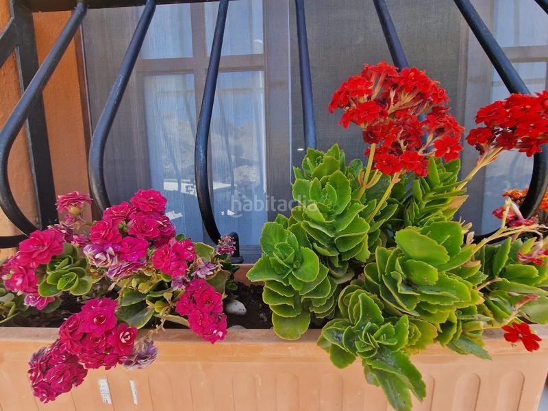 Foto 7e482dc0-202a-47ab-8f91-febecafbae8b. Maison dans Villaricos Cuevas del Almanzora