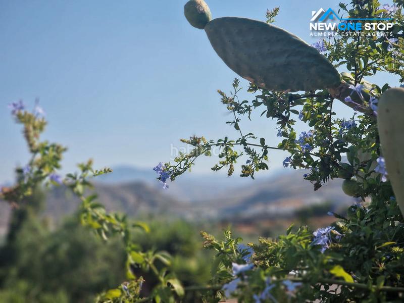 Foto 8a9143b4-297d-40e5-b690-42baf85ee3c1. Masia amb aparcament a Cantoria