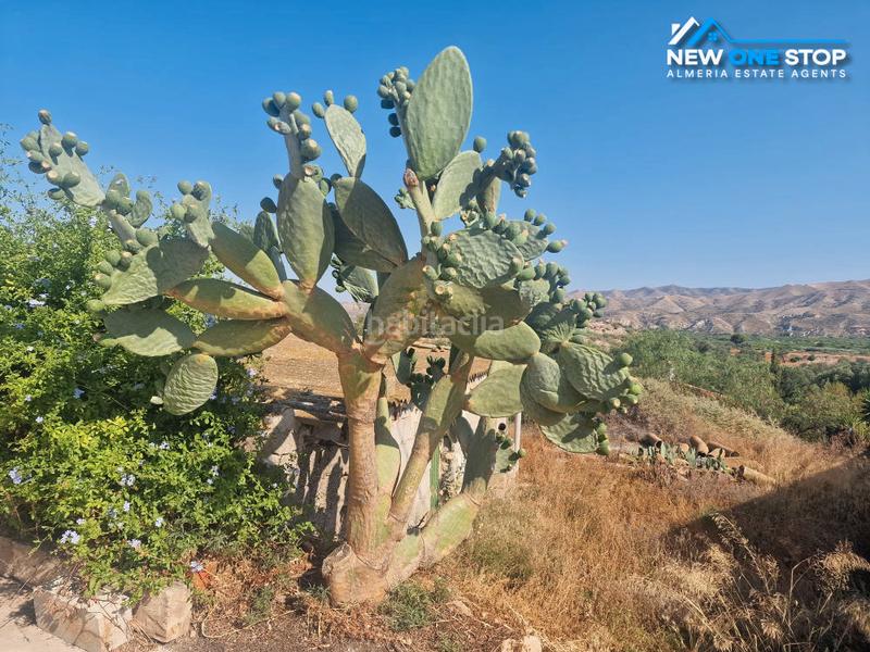 Foto afd297b0-5b61-47bc-a874-179f22cb682f. Masia amb aparcament a Cantoria