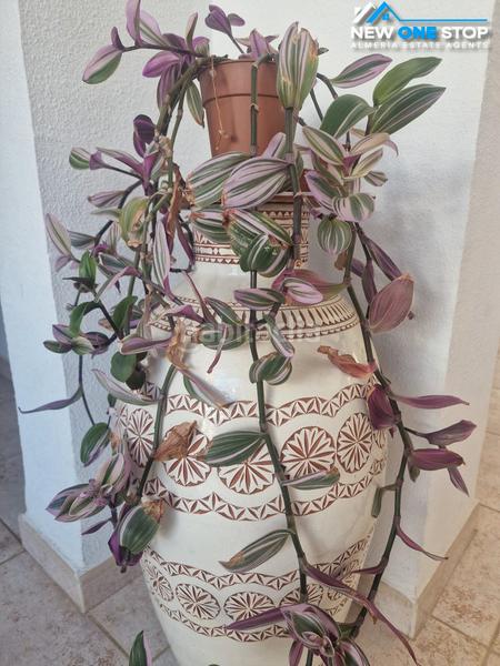 Foto 31adb8e7-ce15-44ff-afd2-5a4cc8417571. Xalet amb xemeneia calefacció aparcament piscina a Mojácar