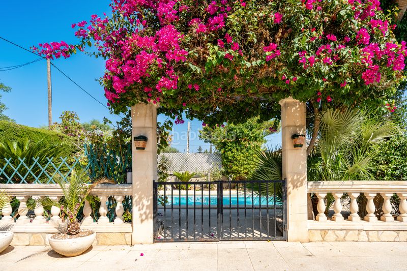 Foto 3a509297-a05f-4801-84a5-3d9483001517. Casa amb xemeneia calefacció aparcament piscina a Muro