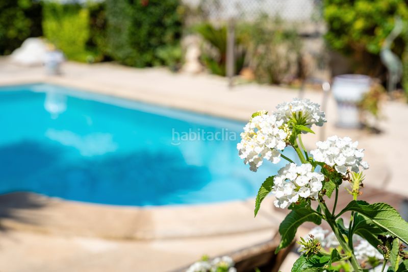 Foto da16bece-81ce-4f61-8f84-17f4ff97e96c. Casa amb xemeneia calefacció aparcament piscina a Muro