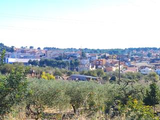 Residential Plot in Carrer dels ceps 4