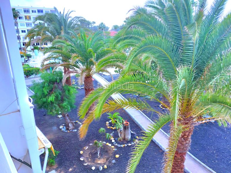 Foto 3defec54-fd80-4aa6-bedc-6a2c539d71b1. Lloguer apartament amb aparcament piscina a Playa del Inglés San Bartolomé de Tirajana