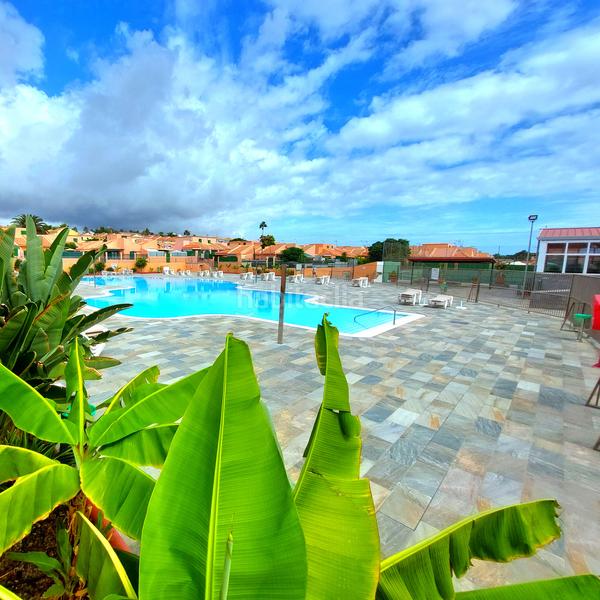 Foto 696eacd4-bdd9-40d8-a3e3-629c23204e66. Rent house with pool in Sonnenland San Bartolomé de Tirajana