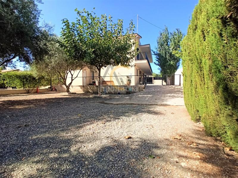 Foto 0ff690c1-7a92-4dc3-802e-349d4fbe0024. Chalet  en Pedanías Oeste Aspe