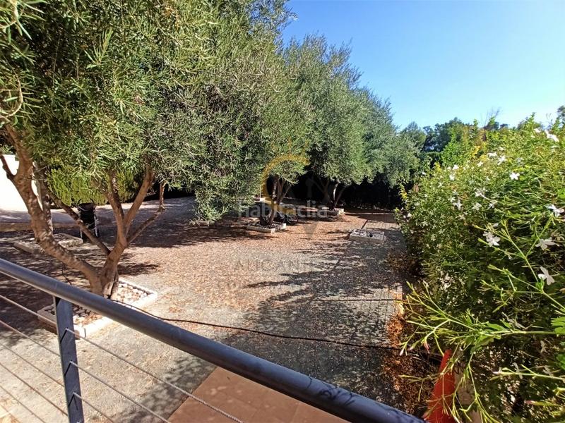 Foto a49f3db6-378f-4180-a957-7c2020bfe515. Chalet  en Pedanías Oeste Aspe