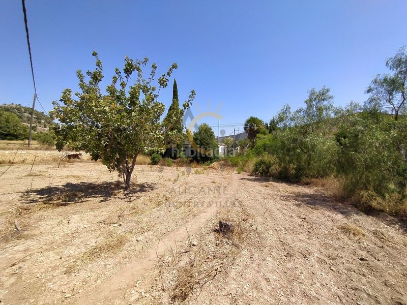Foto b88fba48-fb9f-4c97-8c5e-2137751eaeb7. Xalet amb piscina a Romana (la)