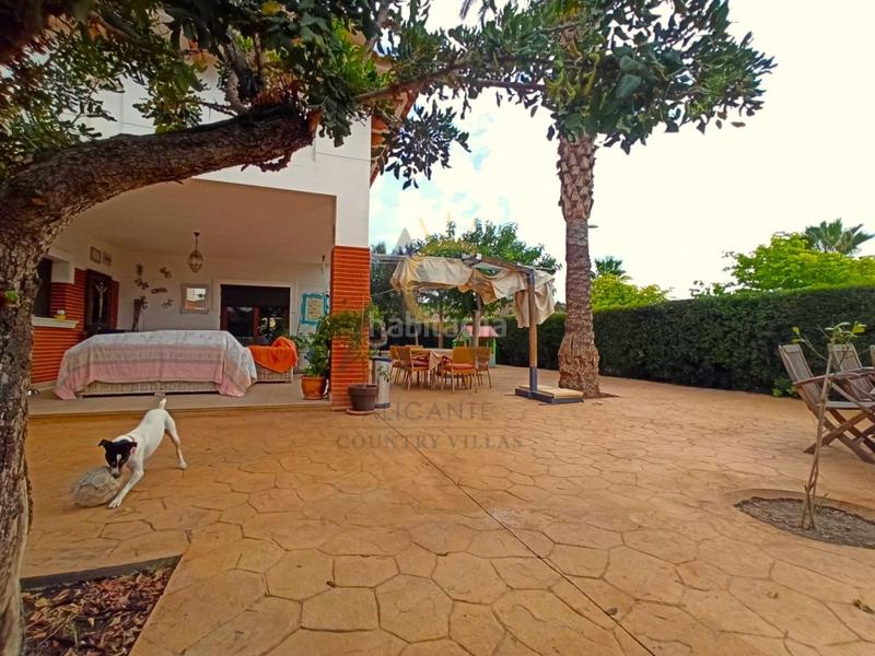 Foto 3c28f538-ddda-4869-a401-9691d6d5c929. Chalet  en monóvar en Monòver