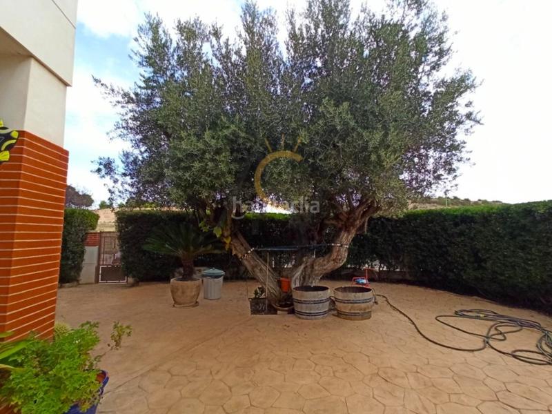 Foto 8e90c3ce-33a1-4c8b-a203-986451b437da. Chalet  en monóvar en Monòver