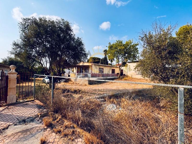 Foto 5d101fc1-829e-4ba5-9d7c-e9cc1497562a. Masía casa de campo con piscina, edificaciones exteriores y nave en Romana (la)