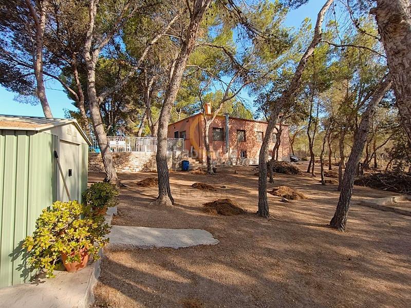 Foto 2b8c651f-a228-4803-8b4b-317d0455299f. Chalet encantadora casa de campo con piscina y pinada, ideal para disfrutar en familia. en Romana (la)