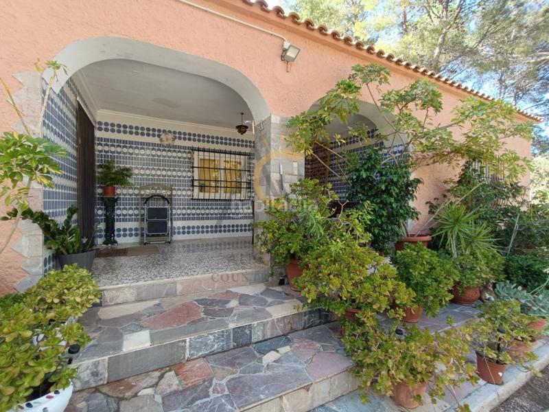 Foto 5e6ef4ba-2719-4386-be63-7d686d61ffa4. Chalet encantadora casa de campo con piscina y pinada, ideal para disfrutar en familia. en Romana (la)