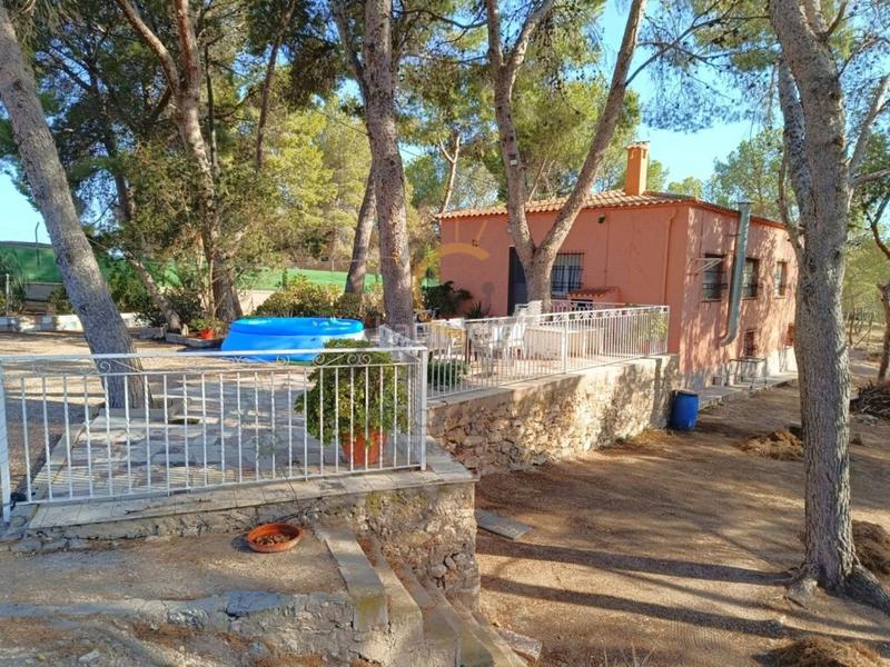 Foto 72a97e3f-0dd0-4b65-9499-382045afa97a. Chalet encantadora casa de campo con piscina y pinada, ideal para disfrutar en familia. en Romana (la)