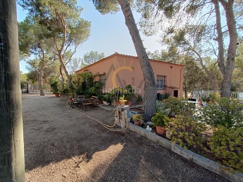 Foto 7eb125e8-ba4f-49a3-8419-160cf8a3f58d. Chalet encantadora casa de campo con piscina y pinada, ideal para disfrutar en familia. en Romana (la)