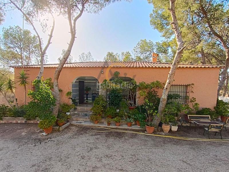 Foto b9e388be-8900-401f-94f6-cdcd29c9e38b. Chalet encantadora casa de campo con piscina y pinada, ideal para disfrutar en familia. en Romana (la)