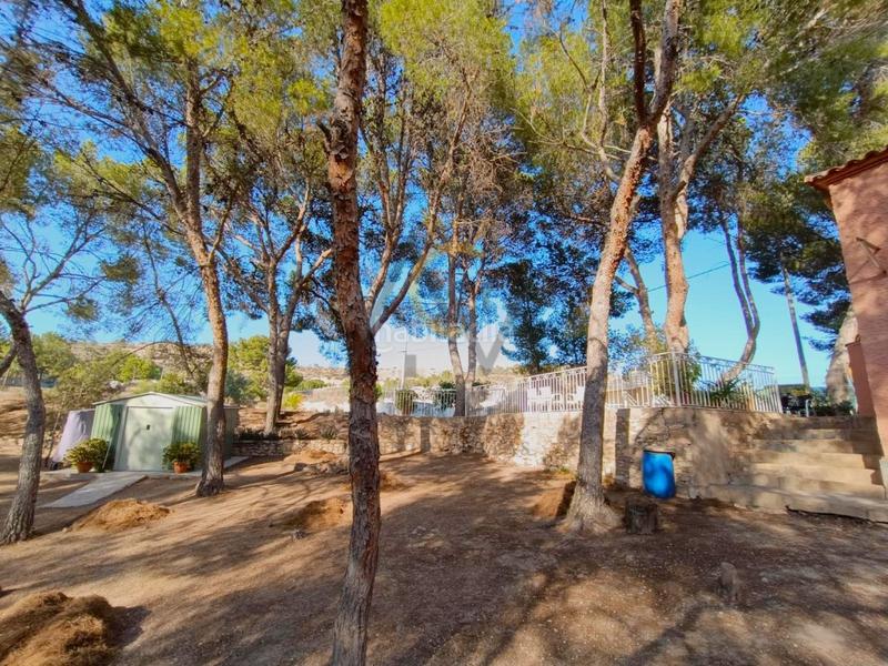 Foto cba2efbf-0f25-430a-bbb9-99762bd44245. Chalet encantadora casa de campo con piscina y pinada, ideal para disfrutar en familia. en Romana (la)