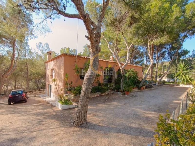 Foto e567d93f-648e-4668-b54c-233b9201871b. Chalet encantadora casa de campo con piscina y pinada, ideal para disfrutar en familia. en Romana (la)
