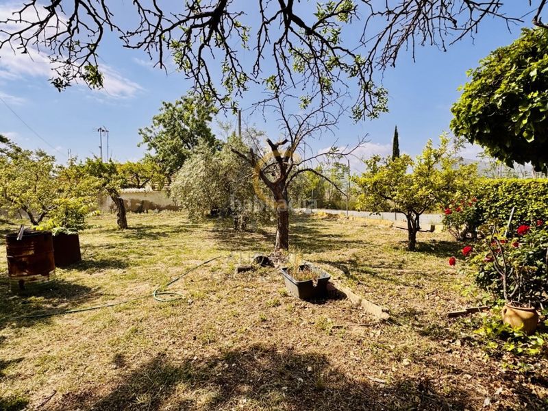 Foto f045bab4-619f-4fd1-a72b-5443dd872298. Masia a Romana (la)