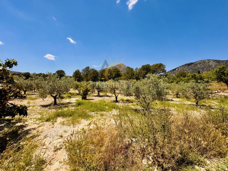 Foto 47b773dc-2ce3-4045-8e5a-b15aa7c8666e. Masia a Monòver