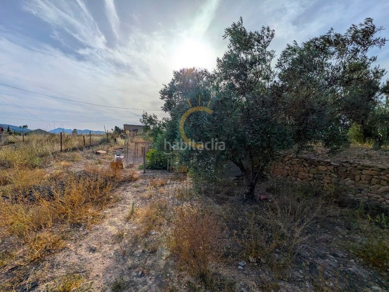 Foto 917ee8f5-bc3b-40e6-8743-68a3426f4f79. Casa amb aparcament a Algueña