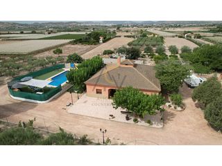 Xalet  Poligono 23 paraje 148 loma campet. Exclusiva finca de ensueño en novelda un oasis de tranquilidad,