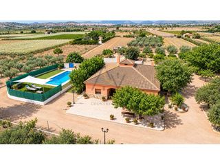 Chalet  Poligono 23 paraje 148 loma campet. Exclusiva finca de ensueño en novelda un oasis de tranquilidad,