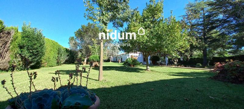 Foto fca58768-6c30-471c-98b7-d11524e2ed4d. Chalet excelente chalet en venta con piscina, construido en planta baja sobre parcela rustica de 2.500m aprox. en Barxeta