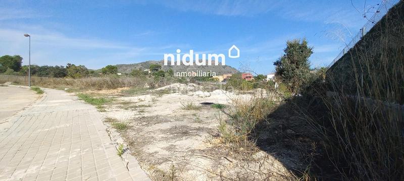 Foto b31ea094-a70b-42cf-a14b-bf69f84016e5. Finca rústica a Xàtiva