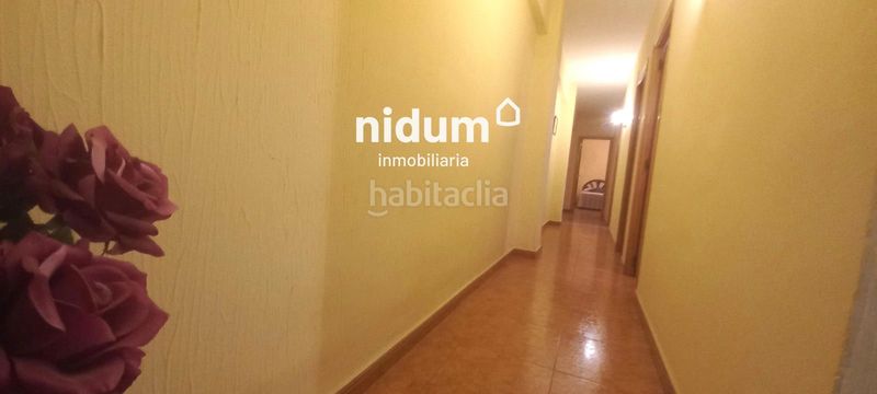 Foto aacc5825-ee78-4ae2-90b8-b31da4053e6f. Pis a Xàtiva